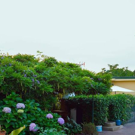 A Tintureira Villa São Martinho de Antas Exterior photo