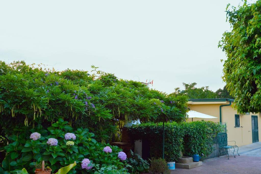 A Tintureira Villa São Martinho de Antas Exterior photo