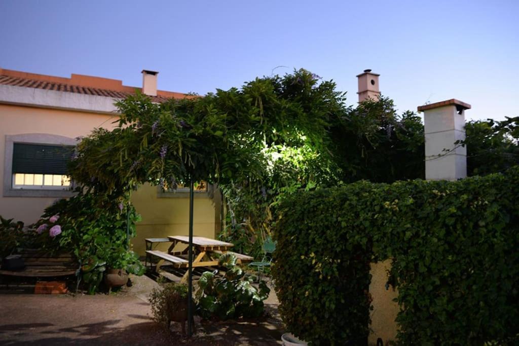 A Tintureira Villa São Martinho de Antas Exterior photo